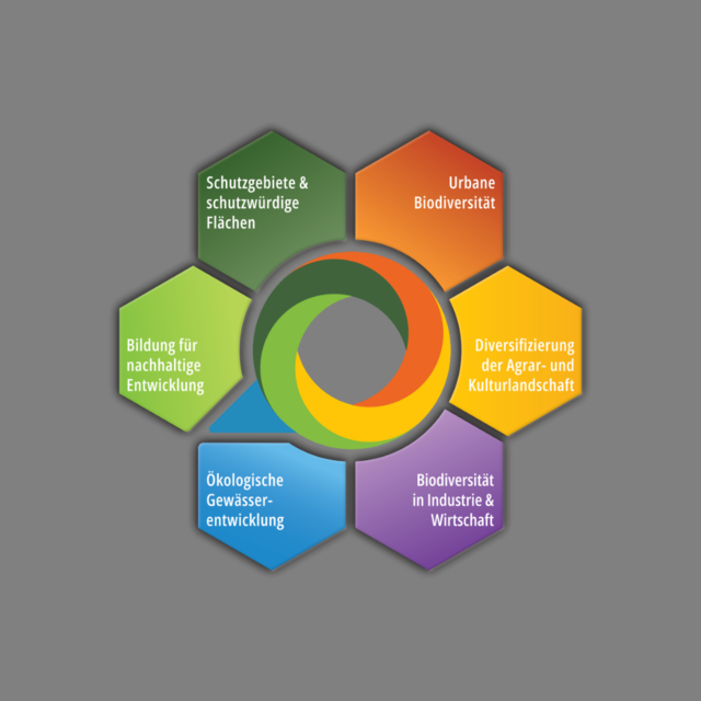 Eine Grafik, in der die sechs Themen-Schwerpunkte des Biozentra wabenförmig um das Logo angeordnet sind.