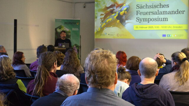 Menschen, die zu einem einer LEinwand mit dem offiziellen Vernastaltungsbild sehen.