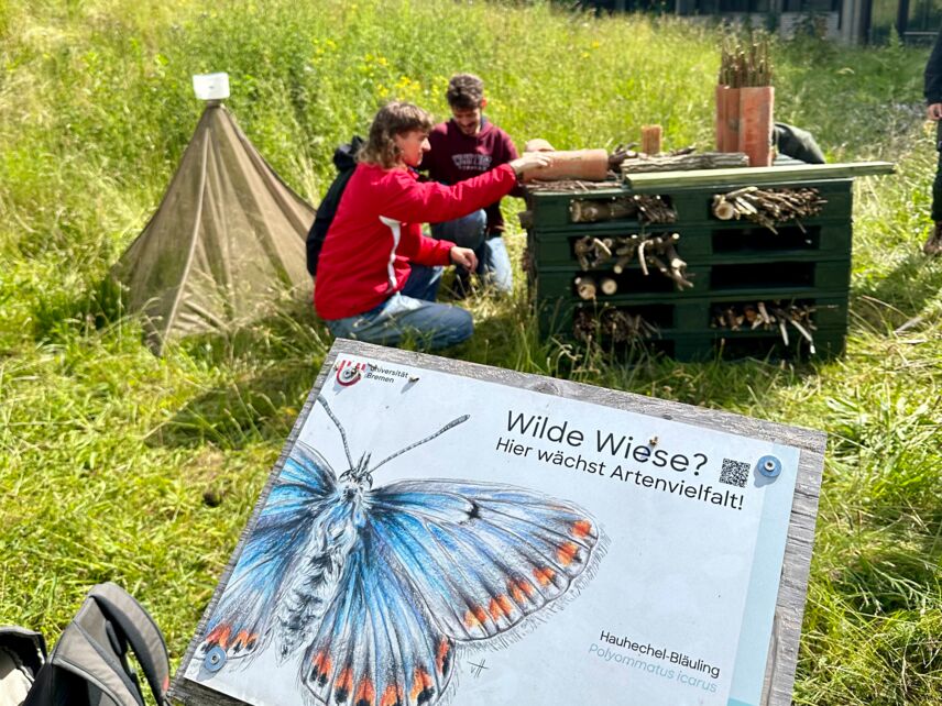 Ein Schild mit einem Schmetterling und Text. Im Hintergrund zwei Personen, die vor einem dunkelgrünen Kasten knien.