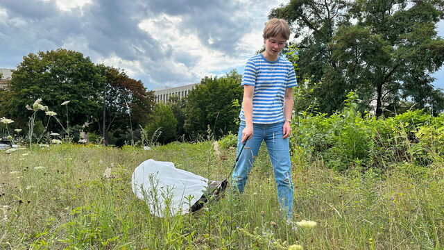Eine Frau mit einem Kescher auf einer Stadtbrache.