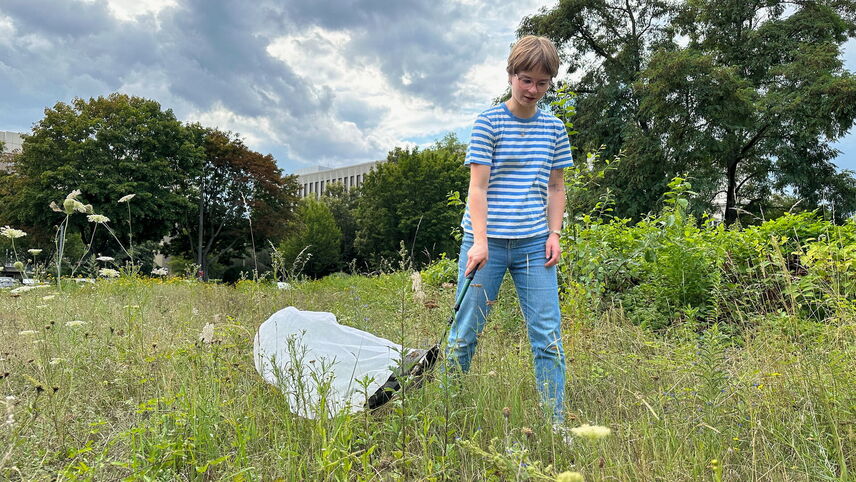 Eine Frau mit einem Kescher auf einer Stadtbrache.