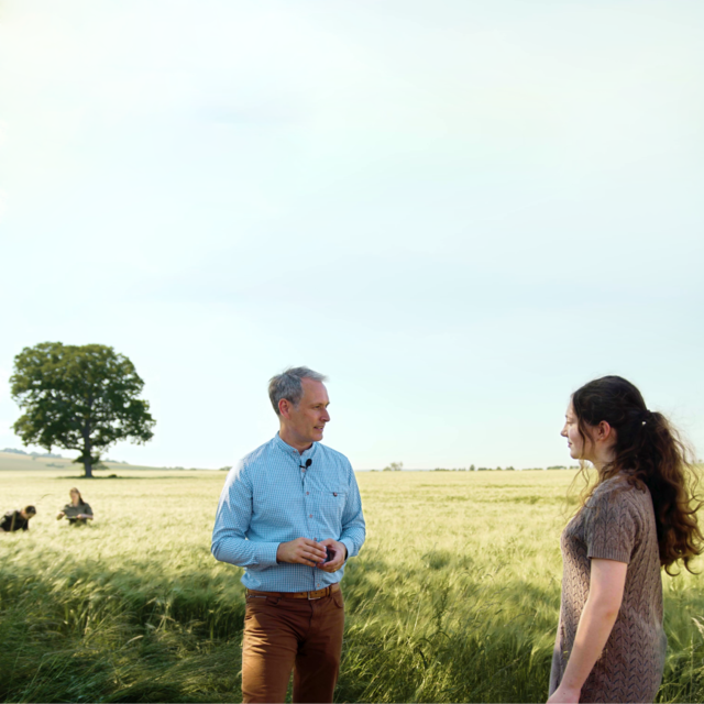 Zwei Menschen unterhalten sich in einem grünen Getreidefeld, im Hintergrund sind ein Baum und zwei weitere Personen zu sehen.
