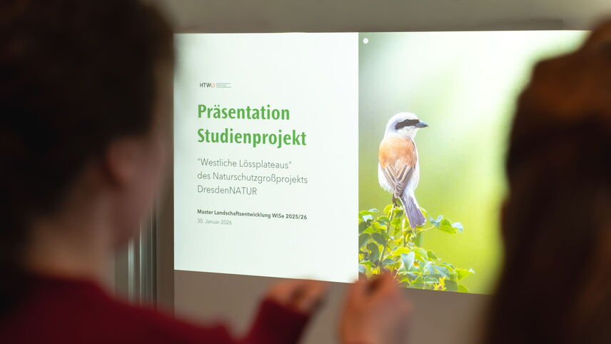 Titelfolie "Präsentation Studienprojekt"