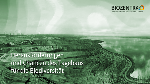 Weißer Text auf grünstichigen Fotos vom Tagebau, die sich in einen See wandeln.