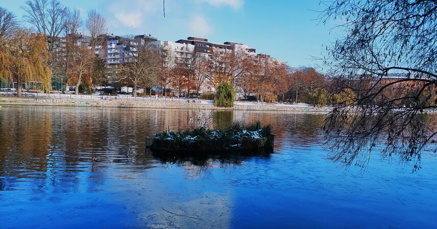 Bepflanzte Schwimminsel auf dem Landwehrkanal in Berlin 2023