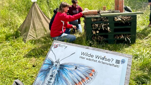 Ein Schild mit einem Schmetterling und Text. Im Hintergrund zwei Personen, die vor einem dunkelgrünen Kasten knien.