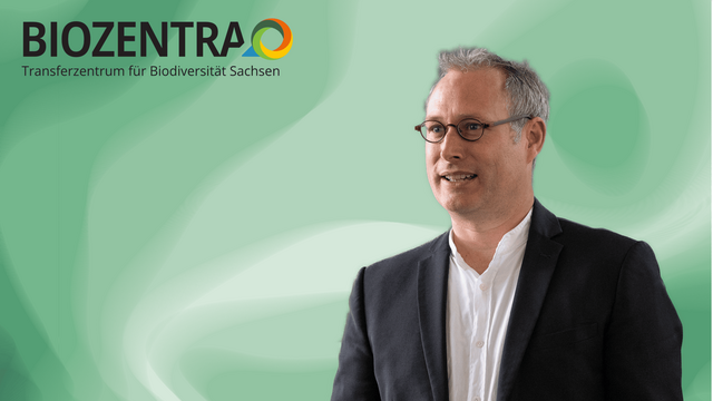 Ein Mann vor grünem Hintergrund