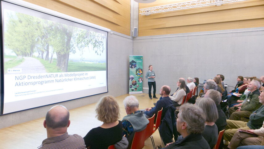 Eine Frau, die einen Vortrag vor einem Publikum hält.