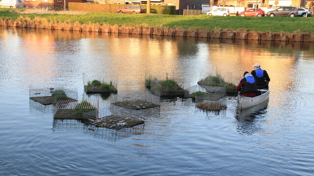 Schwimmende Inseln auf einem Gewässer und 2 Personen im Paddelboot die eine weitere Insel befestigen