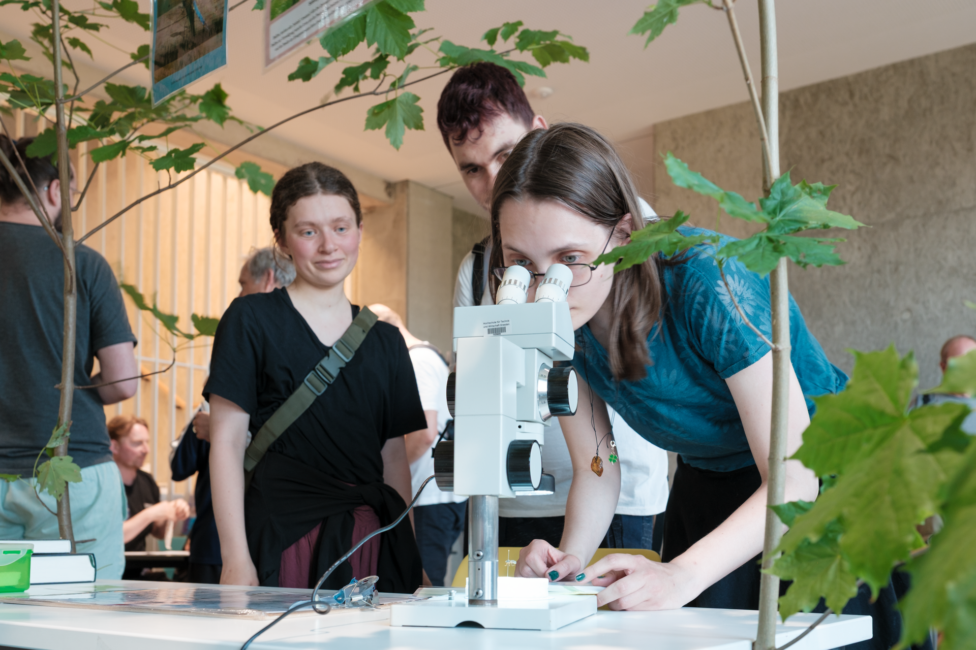 Besucher*innen des Standes des BIOZENTRA beim Mikroskopieren von Insekten