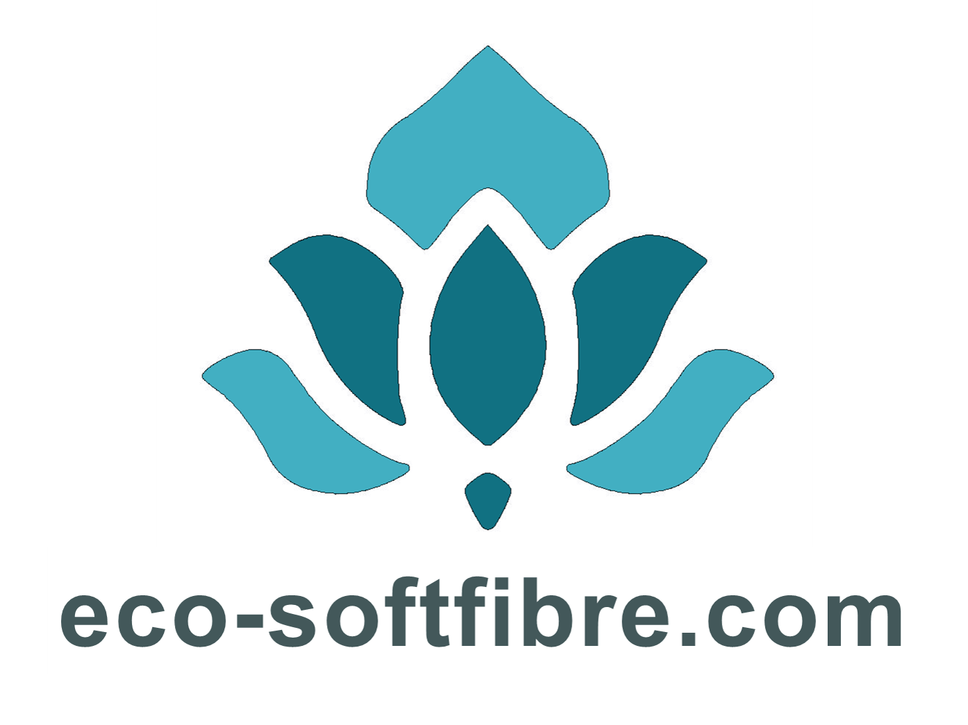 Logo eco-softfibre