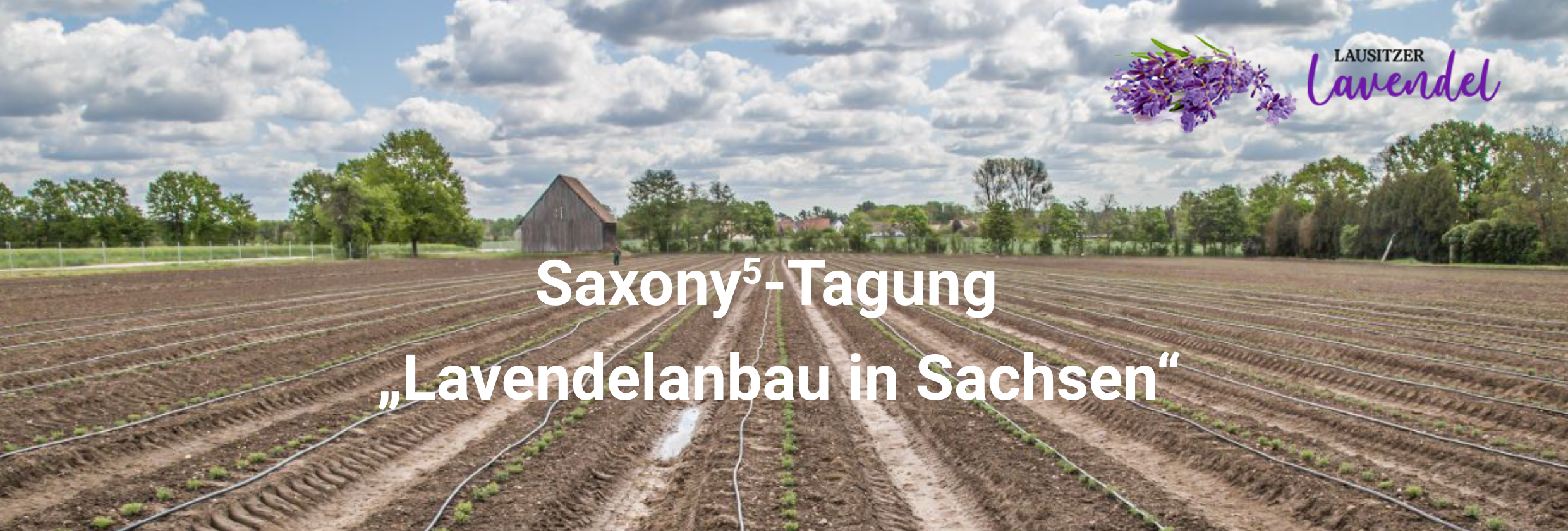 Saxony⁵-Tagung „Lavendelanbau in Sachsen“