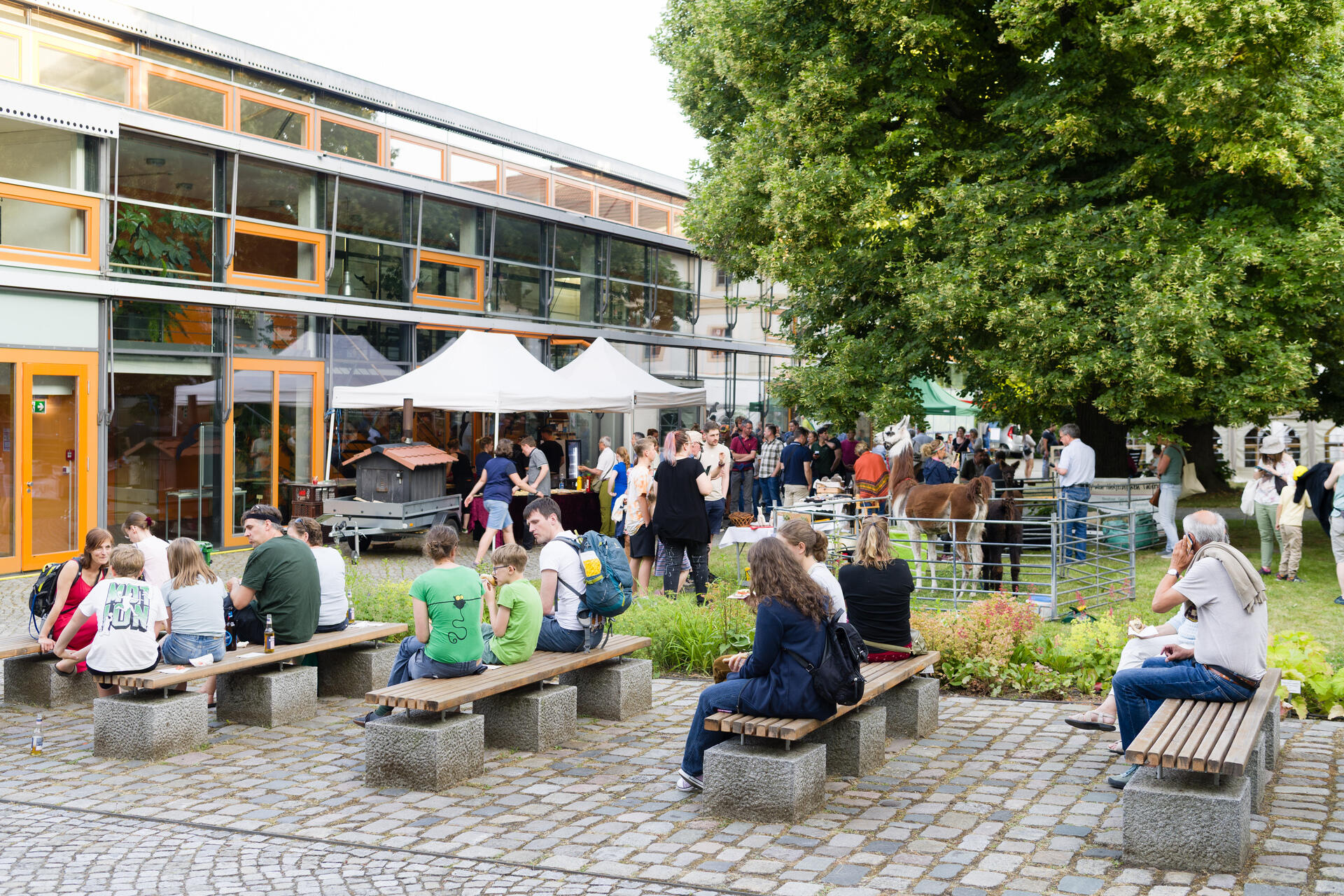 Viele Menschen, vor einem Gebäude sitzen, stehen und sich unterhalten.